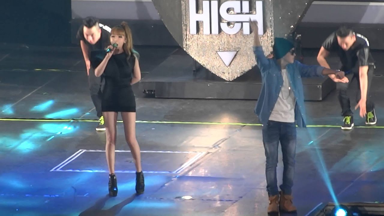YG Family Concert in Singapore 2014 - EPIK HIGH & PARK BOM - UP