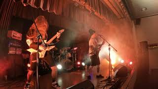 Furious Descent - Department Swine