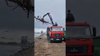 Всероссийская акция &quot;Вода России&quot;. Очистка дамбы в Хабаровске