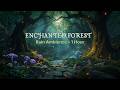 Enchanted Forest 🌧️ Rainy Night Sounds 1 Hour | Study & Sleep Ambience | ASMR