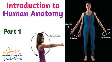 Introduction to Human Anatomy, Interesting Video with Amharic Speech, Part 1