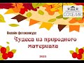 Онлайн фотоконкурс &quot;Чудеса из природного материала&quot; ИКЦ &quot;Современник&quot; 2023г.