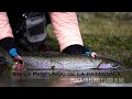 Pesca en lo profundo de la Patagonia - Fly Fishing en el Rio Olnie, Santa Cruz