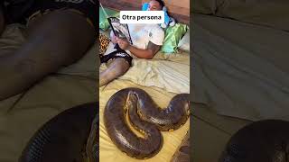 A man with python on his bed #funny #youtubeshorts #python #snake