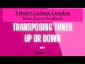 Trinity Music Theory Workbook Grade 5 - Transposing tune up or down - P4