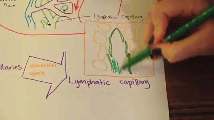 A. Buckley's BHS104A Mini Presentation  The Flow o...