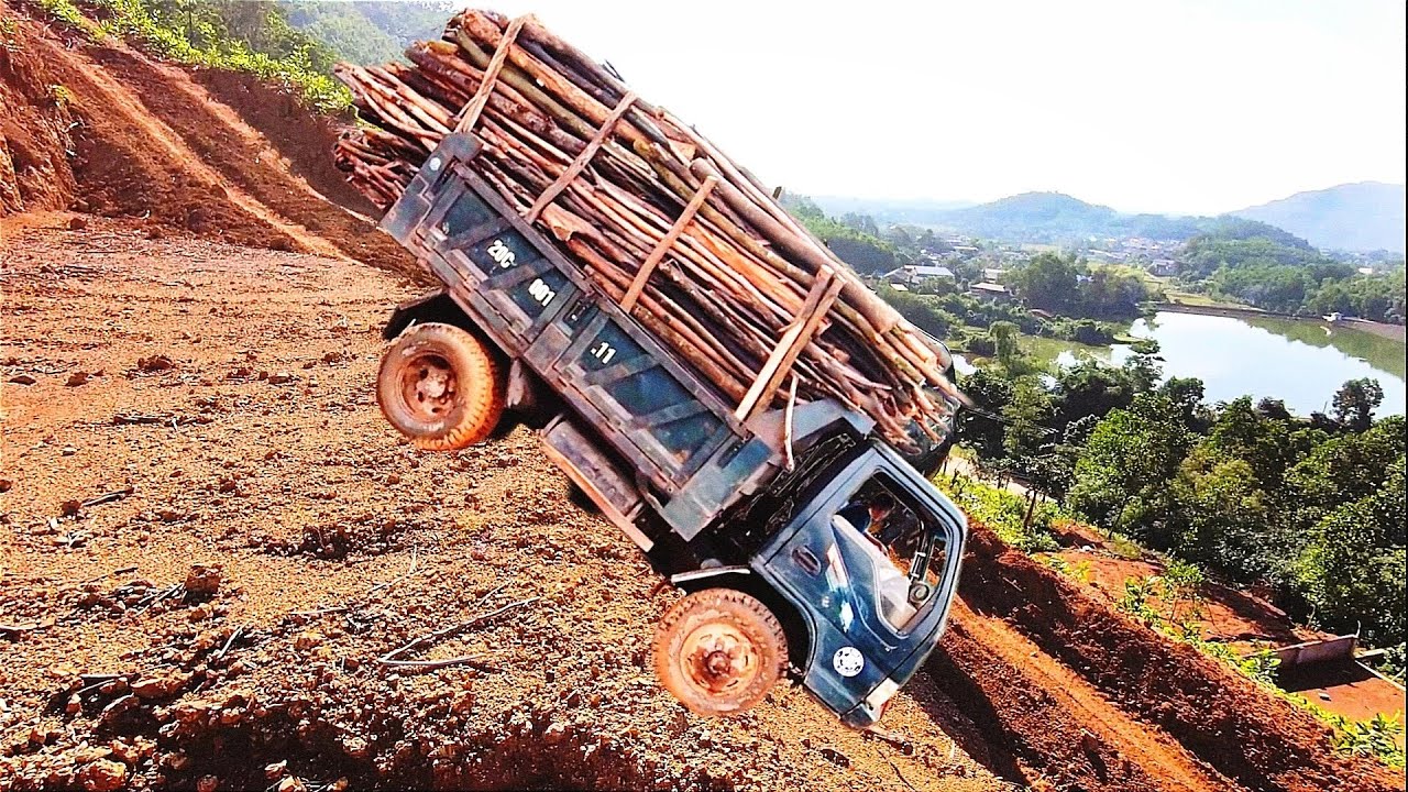 The Most Dangerous Road in Overloaded Wood Transport | Survival Hinges on Sheer Luck