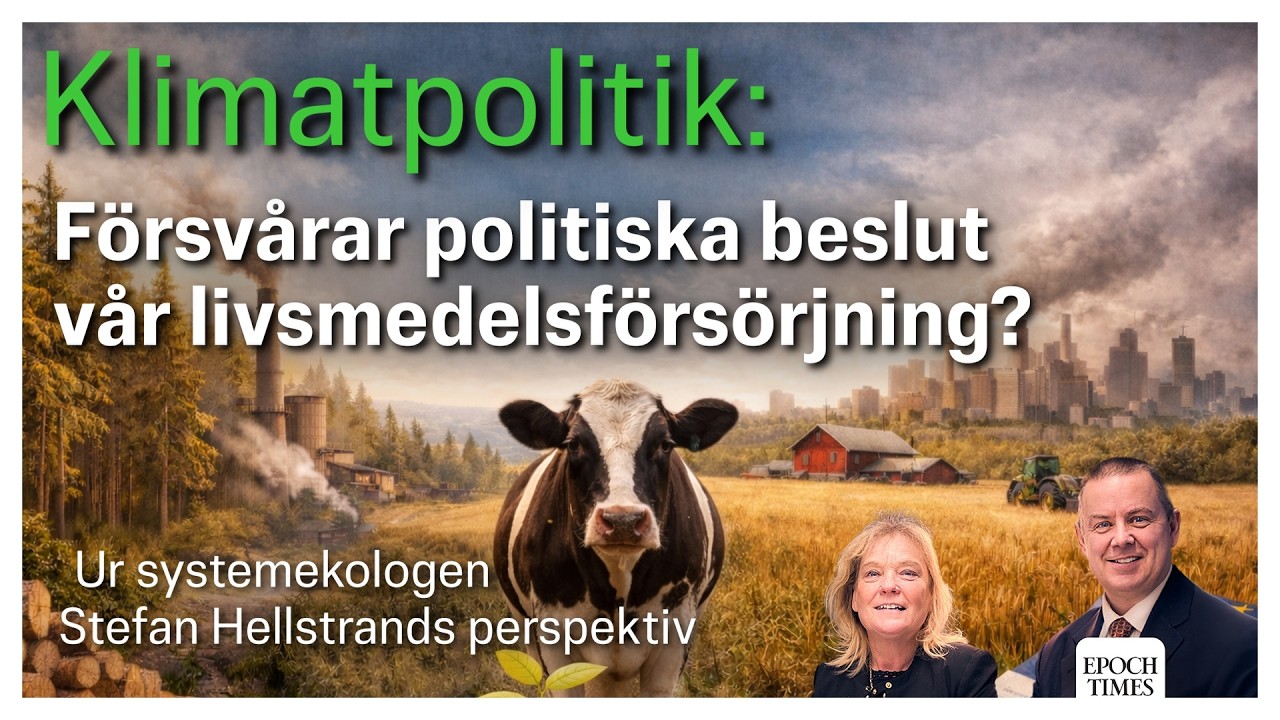 Klimatmål 2040 – 85 % av köttproduktionen kan försvinna – med Stefan Hellstrand