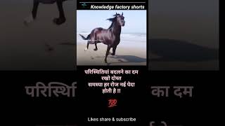 #impression #fact #motivation #success #mindsetvideo #trending #positive #workout #knowledgevideo