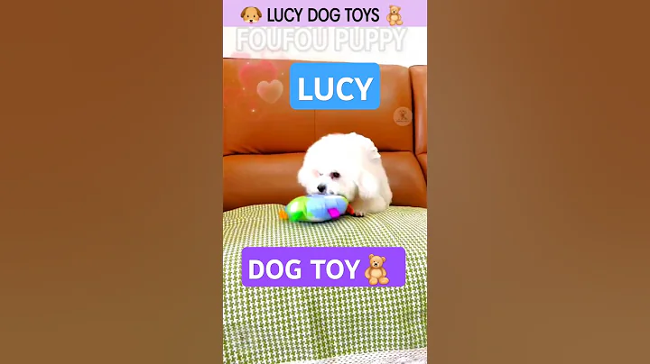 लूसी का  खिलौना 🧸 Cutest Fluffy Puppy Funny Toy 🐶 #funnydog #fluffydog #pettoys