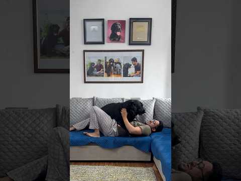 Invisible Prank With My Dog😂#doglover