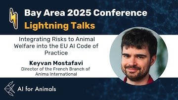 The EU AI Code of Practice | Keyvan Mostafavi | Anima International