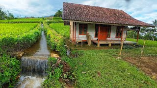 Hanya Ada 4 Rumah., Udaranya Sejuk Ayem Tentram. Alamnya Indah Damai Bikin Betah Kampung Indonesia