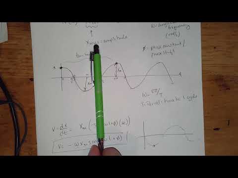 Simple Harmonic Motion