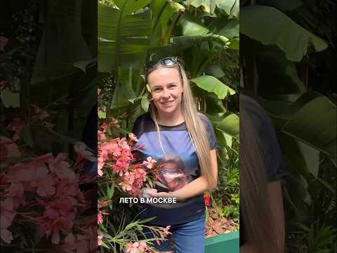 В центре Москвы у нас на лето оформили тропики) перенеслась в Сочи) арт. WB: #WW114857 #mixit #лайф