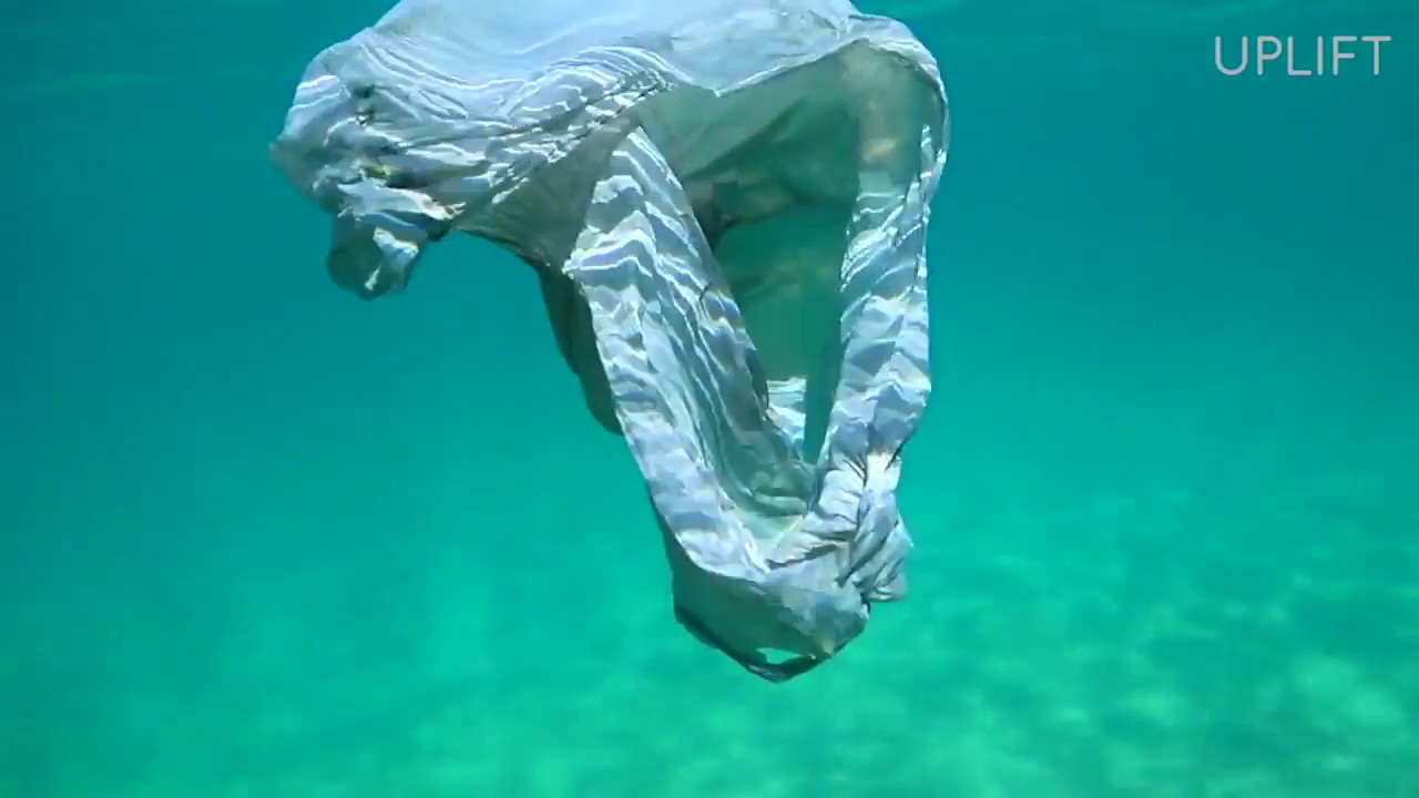 Plastic Not Fantastic