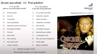 Video thumbnail of "Stefan Hrusca - Trei pastori (03/23) [Craciunul cu Hrusca]"