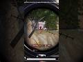 Unbelievable shots in pubg #pubg #gaming #seher #reels #shorts