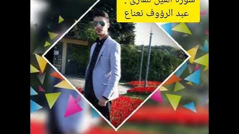 سورة الفيل للقارئ : عبد الرؤوف نعناع