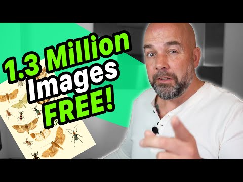 Amazing 1.3 Million FREE Images for KDP Book Cover Designs