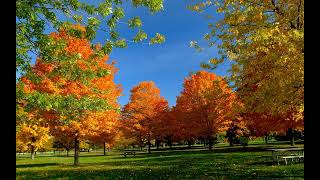 01 Duet Ajda Pekkan Nikah