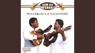 Miniatura del video "Pena Branca & Xavantinho - Cuitelinho"