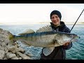 Zander im Ebro - Dicke Fische trotz Sturm!? Die Challenge in Spanien