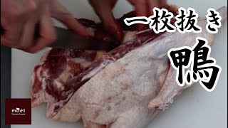 【肉処理】鴨の処理。一枚抜き。