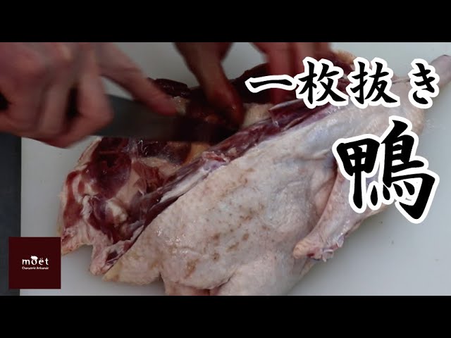 肉処理】鴨の処理。一枚抜き。 - YouTube