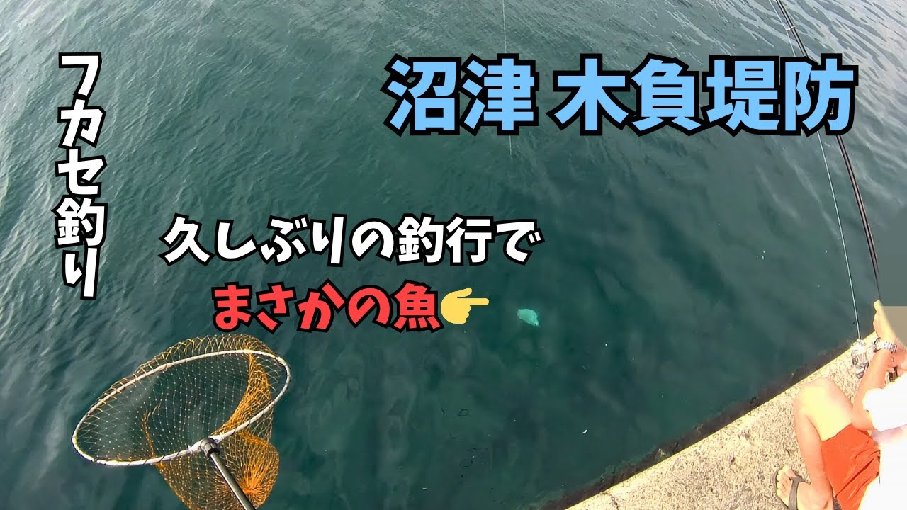 【フカセ釣り】久しぶりの釣行でまさかの魚！【沼津 木負堤防】#16