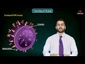 Overview of Virises : Enveloped vs. Nonenveloped DNA & RNA Viruses - Microbiology animations