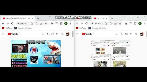 up to faster 11 to shark puppet