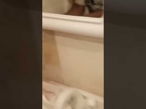 #shorts #viralshorts #shortvideo