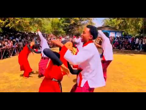 Adaa Tenyaa Guddisuuf Baratoota Kessaa Ijjoolle Dandetii Shaggooyyee Qaban Oomishuun Baredaadha