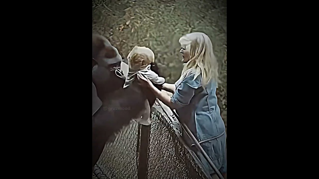 Only A Mother Can Truly Understand Another Gorilla Zoo Animals Baby