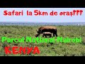 Safari printre animalele Africii la doi pași de oraș. Parcul Național Nairobi - Kenya