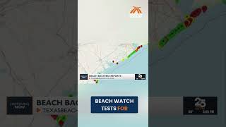 Texas Beaches: Bacteria Reports &amp; Safety Tips This Summer! #shorts