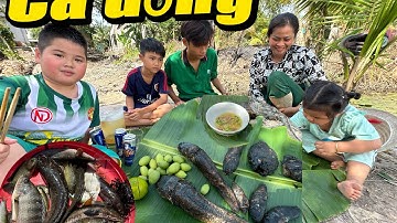 Sinh tồn món ngon miền Tây cá lóc đồng ca rô đồng nướng trui
