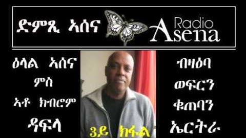 Voice of Assenna intv with Kibrom Dafla Re Eritrean Economy