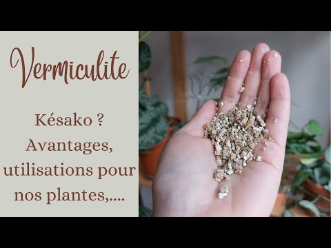 Vidéo: Jardiner avec de la vermiculite - Utilisations et informations sur la vermiculite
