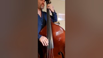 1966 Kay S1 double bass Evah Pirazzi Slap strings
