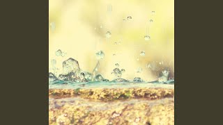 Tasteful Ambience for Calming Rain