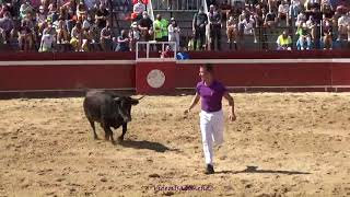 Pradejón (La Rioja) 12/09/2021 - Exhibición de anillas - Borja Santamaría y Juan Arastegui - HD