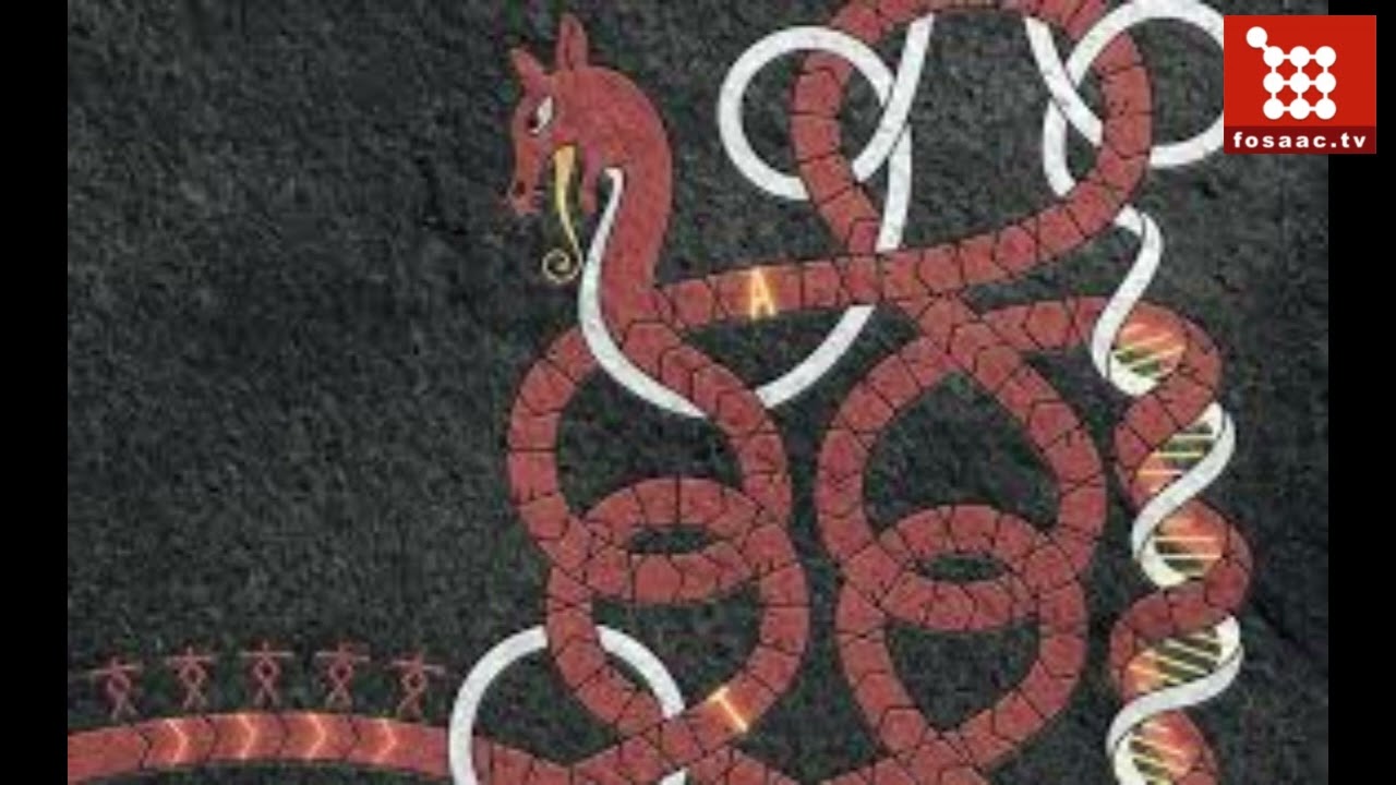 Revealing Europe’s First Millennium  Ancient DNA Uncovers Migration Mysteries