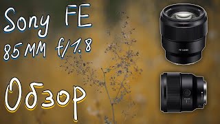 📸 Sony 85 mm f/1.8 (sel85f18) - 🧐 Обзор Полнокадрового Портретного Объектива для Sony E