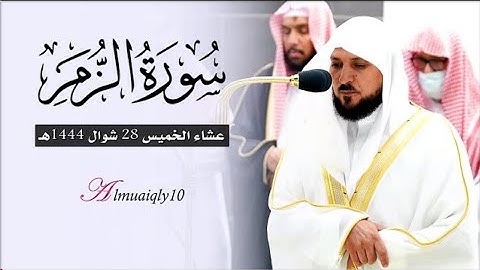 تلاوة تدبُرية خاشعة من الشيخ د. #ماهر_المعيقلي لأواخر سـورة الزمر | عشاء الخميس ٢٨-١٠-١٤٤٤هـ
