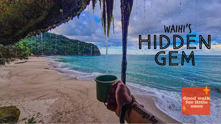 Waihi's Hidden Gem - Homunga Bay