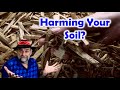 Are Woodchips Harming Your Soil and Plants?