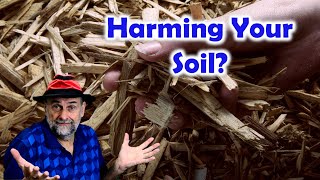 Are Woodchips Harming Your Soil and Plants? by Garden Fundamentals 24,663 views 5 days ago 11 minutes, 14 seconds