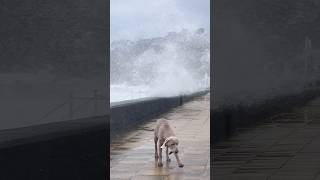 STORM KATHLEEN ⛈️ Battering Laxey 🌊 #Storm #StormKathleen #Isleofman #badweather